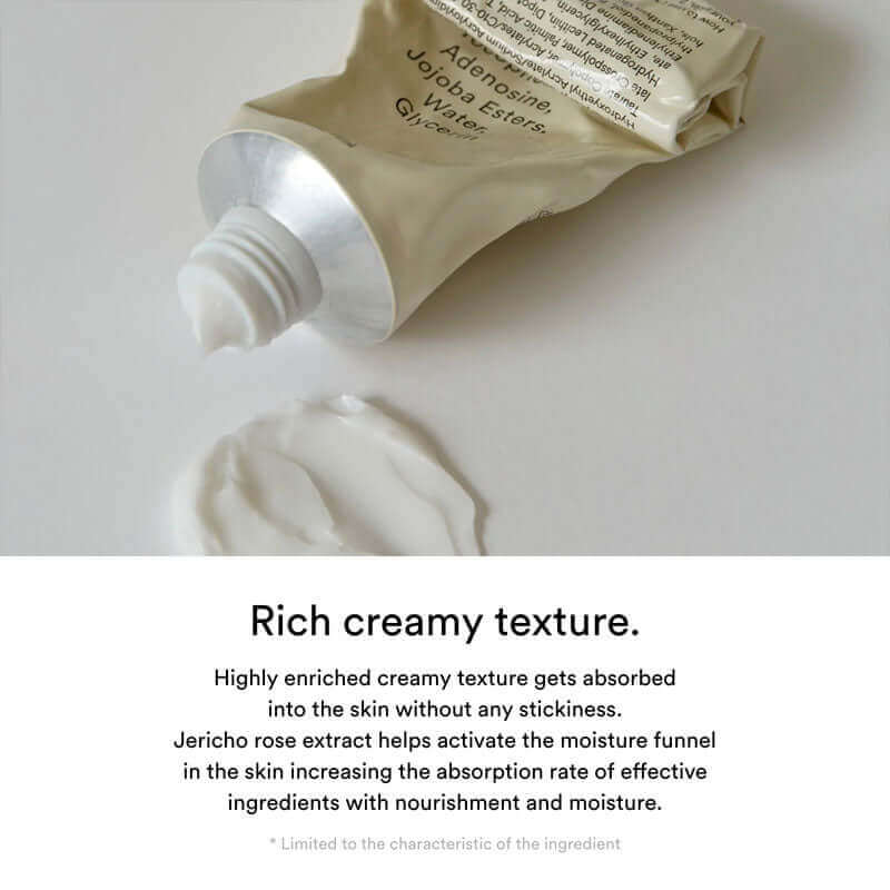 Abib Jericho Rose Creme Nutrition Tube 75ml - Image 7