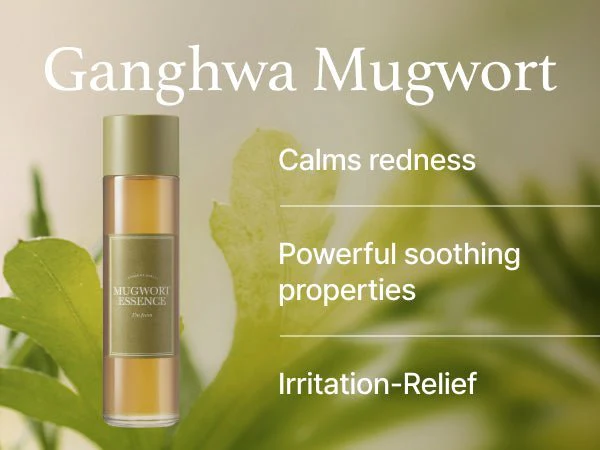 I'm From Mugwort Essence 160ml - Image 4