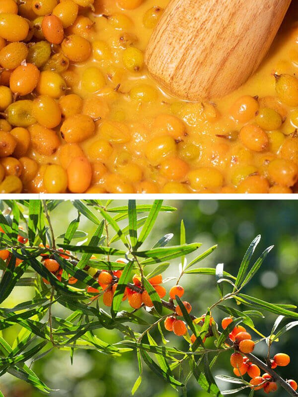 I'm from Vitamin Fruit Serum 30ml - Image 7