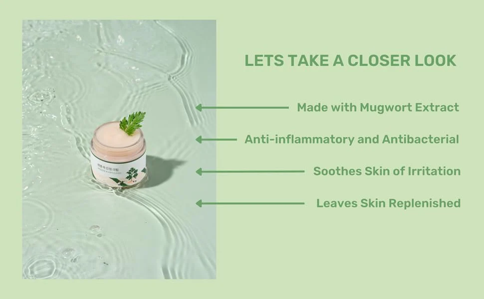 Round Lab Mugwort Calming Cream 80ml - Image 5