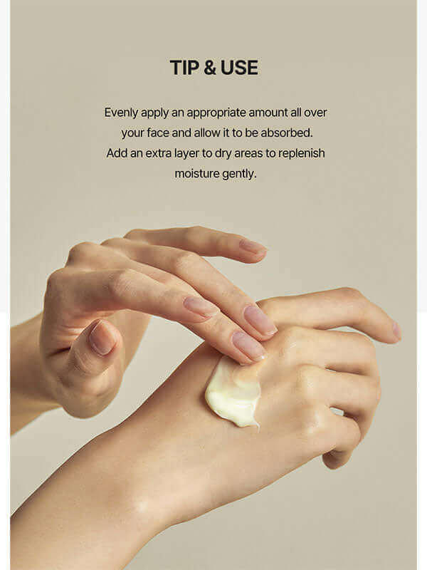 Torriden Solid-In Ceramide Cream 70ml - Image 6